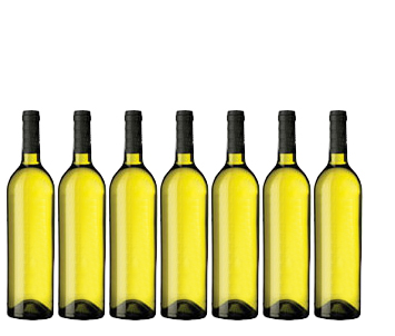 Weinauswahl | wein+kunst CREMANT